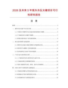 2026及未來5年紫外冷反光鏡項目可行性研究報告