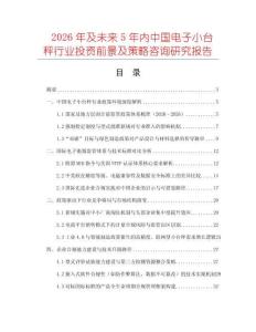 2026年及未來5年內中國電子小臺秤行業投資前景及策略咨詢研究報告