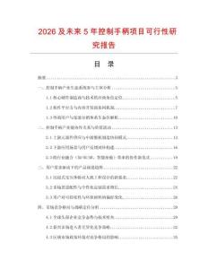2026及未來5年控制手柄項目可行性研究報告