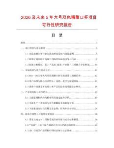 2026及未來5年大號雙色精雕口杯項目可行性研究報告