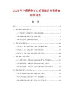 2025年中國銅制擴口式管接頭市場調查研究報告