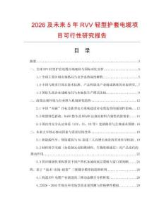 2026及未來5年RVV輕型護套電纜項目可行性研究報告