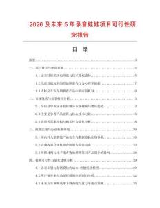 2026及未來5年錄音娃娃項目可行性研究報告