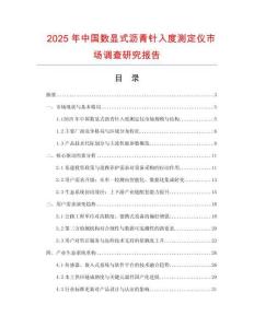 2025年中國數顯式瀝青針入度測定儀市場調查研究報告