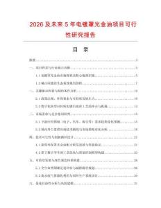 2026及未來5年電鍍罩光金油項目可行性研究報告