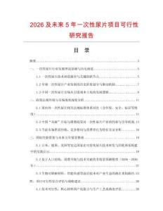 2026及未來5年一次性尿片項目可行性研究報告