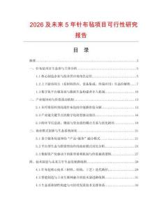2026及未來5年針布氈項目可行性研究報告