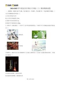 精品解析：重慶市開州區2024-2025學年八年級上學期期末物理試題（原卷版）