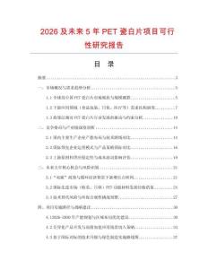 2026及未來5年PET瓷白片項目可行性研究報告