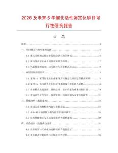 2026及未來5年催化活性測定儀項目可行性研究報告