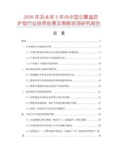 2026年及未來5年內中國引擎蓋防護墊行業投資前景及策略咨詢研究報告