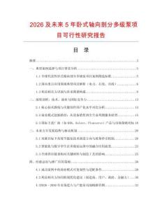 2026及未來5年臥式軸向剖分多級泵項目可行性研究報告