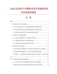 2026及未來5年塑料五金日用制品項目可行性研究報告