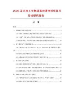 2026及未來5年燃油高效清凈劑項目可行性研究報告