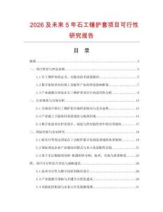 2026及未來5年石工錘護套項目可行性研究報告