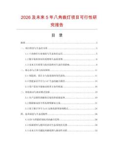 2026及未來5年八角嵌燈項目可行性研究報告