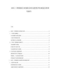 2025工程船舶行業現狀分析及投資評估規劃分析研究報告