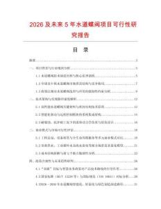 2026及未來5年水道蝶閥項目可行性研究報告