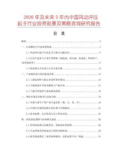 2026年及未來5年內中國風動沖壓起子行業投資前景及策略咨詢研究報告
