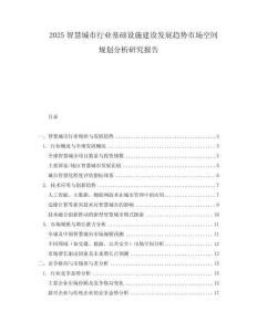2025智慧城市行業基礎設施建設發展趨勢市場空間規劃分析研究報告