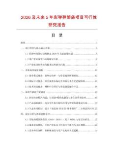 2026及未來5年彩彈彈筒袋項目可行性研究報告