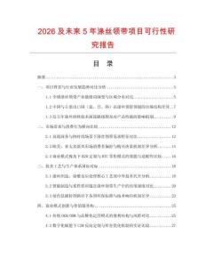2026及未來5年滌絲領帶項目可行性研究報告