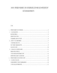 2025智能沖浪板行業(yè)市場現(xiàn)狀競爭格局分析投資評估發(fā)展趨勢報告