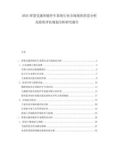 2025智慧交通智能停車系統(tǒng)行業(yè)市場現(xiàn)狀供需分析及投資評估規(guī)劃分析研究報告