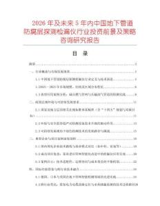 2026年及未來5年內中國地下管道防腐層探測檢漏儀行業投資前景及策略咨詢研究報告