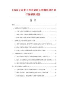 2026及未來5年自動雙頭倒角機項目可行性研究報告