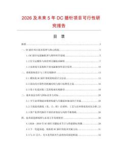 2026及未來5年DC插針項目可行性研究報告