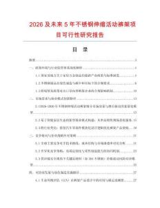 2026及未來5年不銹鋼伸縮活動褲架項目可行性研究報告