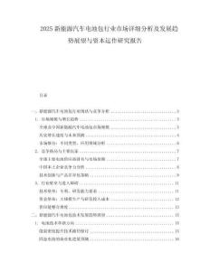 2025新能源汽車電池包行業市場詳細分析及發展趨勢展望與資本運作研究報告
