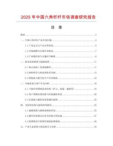 2025年中國六角釬桿市場調查研究報告