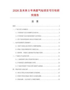 2026及未來5年角度氣鉆項目可行性研究報告