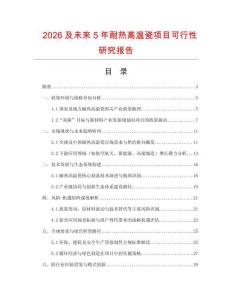 2026及未來5年耐熱高溫瓷項(xiàng)目可行性研究報告