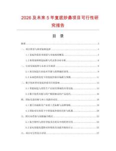 2026及未來5年復底炒鼎項目可行性研究報告