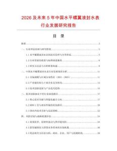 2026及未來5年中國水平螺翼液封水表行業發展研究報告