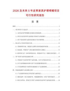 2026及未來5年皮革家具護(hù)理噴蠟項(xiàng)目可行性研究報告