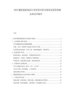 2025橡膠輪胎制品行業(yè)供需分析市場需求投資策略品質(zhì)競爭報(bào)告