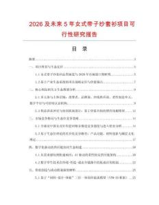 2026及未來5年女式帶子紗套衫項目可行性研究報告