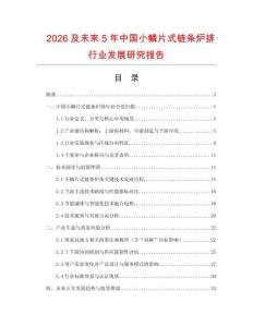 2026及未來5年中國小鱗片式鏈條爐排行業發展研究報告