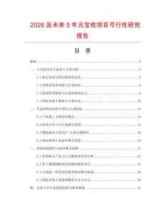 2026及未来5年元宝枕项目可行性研究报告