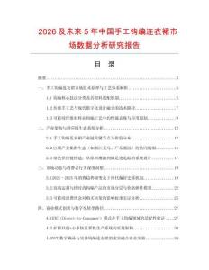 2026及未来5年中国手工钩编连衣裙市场数据分析研究报告