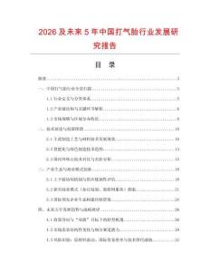 2026及未來5年中國打氣胎行業(yè)發(fā)展研究報告
