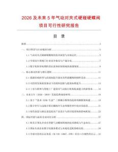 2026及未來5年氣動對夾式硬碰硬蝶閥項目可行性研究報告