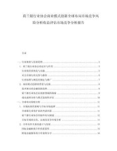 荷蘭銀行業(yè)協(xié)會商業(yè)模式創(chuàng)新全球布局市場競爭風(fēng)險(xiǎn)分析收益評估市場競爭分析報(bào)告