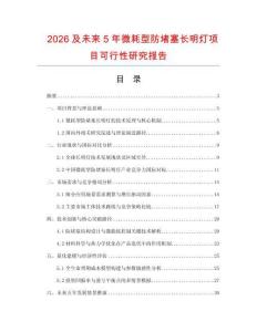 2026及未來5年微耗型防堵塞長明燈項目可行性研究報告