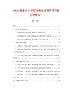 2026及未來5年軟電纜電線項目可行性研究報告