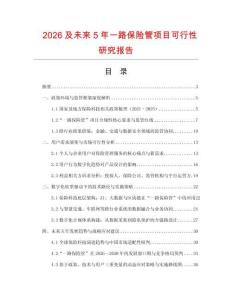 2026及未來5年一路保險管項目可行性研究報告